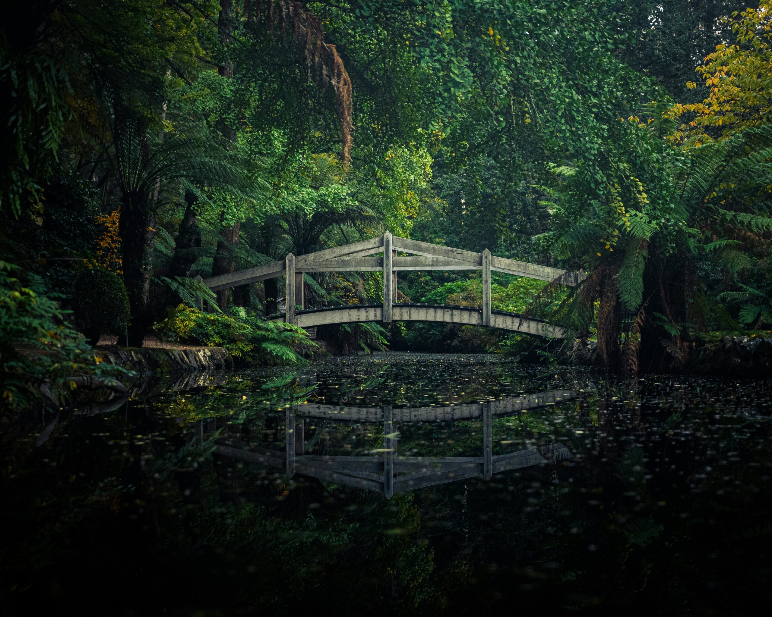 pexels photo 8019672