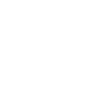 willbridge favicon